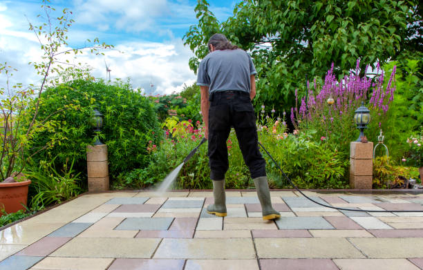 Arbury Hills, IL Pressure Washing Services Company